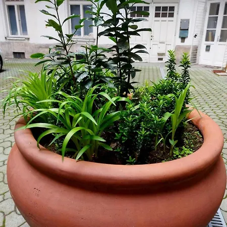 Like Centrum, Wifi, Terrace Apartament *