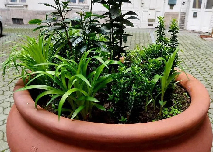 Like Centrum, Wifi, Terrace Apartamento *