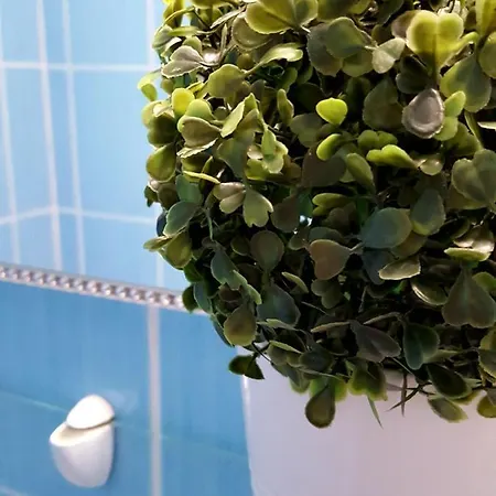 Like Centrum, Wifi, Terrace Βουδαπέστη