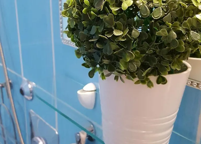 Like Centrum, Wifi, Terrace