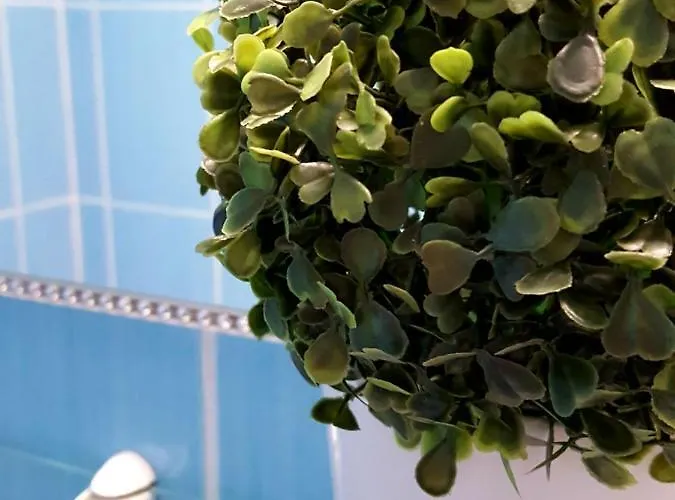 Like Centrum, Wifi, Terrace Budapesta